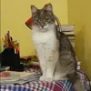 Отзыв от Арина Филатова